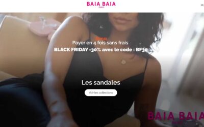 Quel est le commerce en ligne le plus rentable ?